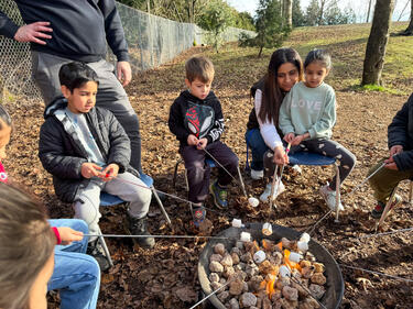 Carnaval de Quebec 2026